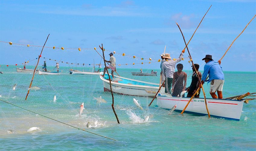 pêche à la senne à rodrigues