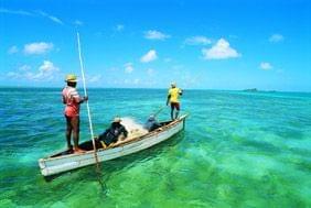 Notre site internet dédié à l'île Rodrigues