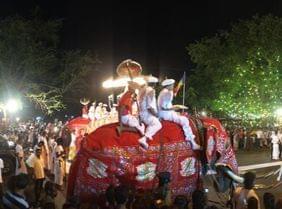 Sri Lanka : l'incroyable parade des éléphants pour la fête de la Perahera