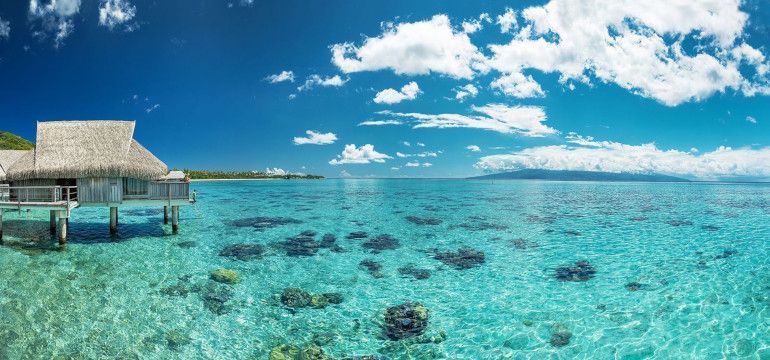 piloti sofitel moorea polynesie