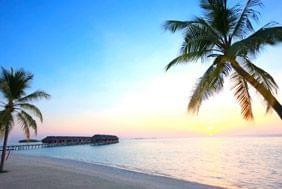Les Maldives - L'expérience de Bertrand Noel, Fondateur de Tropicalement Vôtre, au LUX* South Ari Atoll