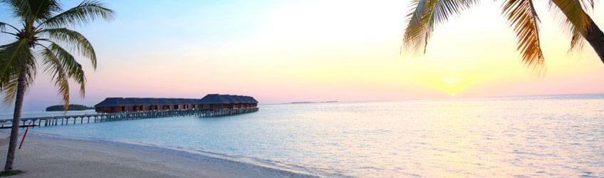 Les Maldives - L'expérience de Bertrand Noel, Fondateur de Tropicalement Vôtre, au LUX* South Ari Atoll