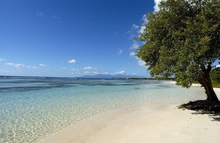 plage debois-jolan