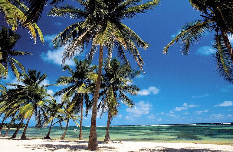 plage de grande anse guadeloupe