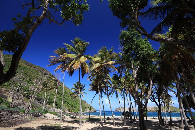 plage de la pompierre martinique