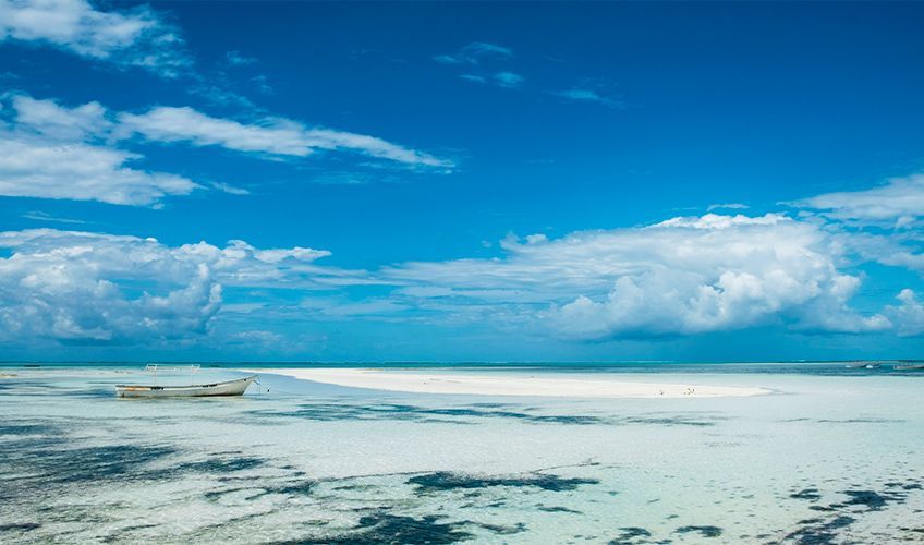 plage  Zanzibar  mare basse