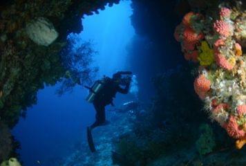 plongee bali plongee bali