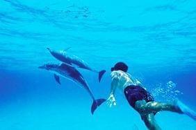 4 ides de sjours 100% activits nautiques