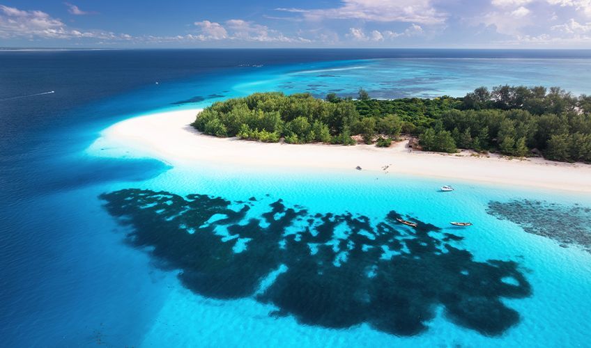 plong�e � Mnemba, Zanzibar