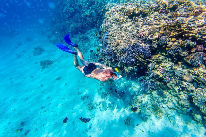 que faire aux bahamas