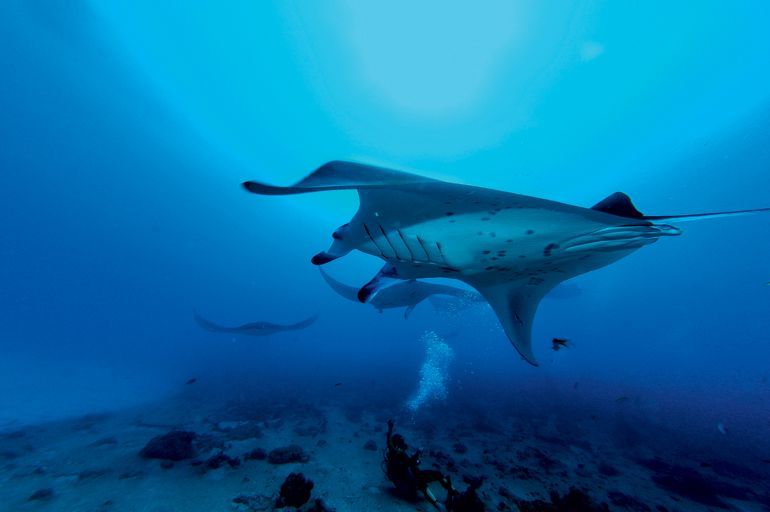 vivre une expérience robinson crusoe sur une ile deserte aux maldives