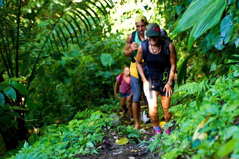 excursion guadeloupe