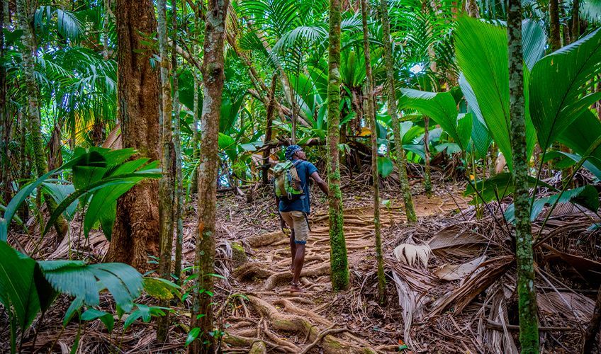 randonnée Glacis Noir aux Seychelles