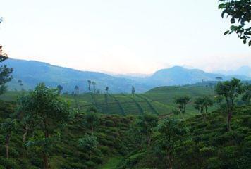 Randonnée sri lanka knuckles range Randonnée sri lanka knuckles range