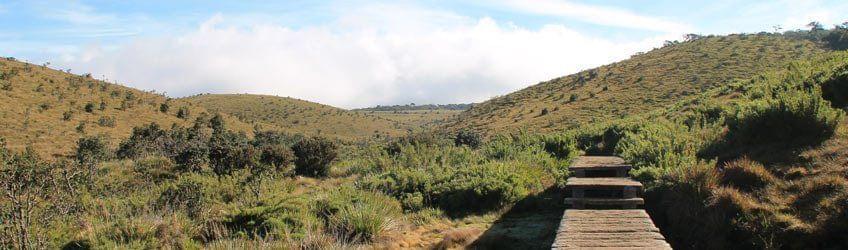 Randonnée en pleine nature dans le parc national d'Horton Plains