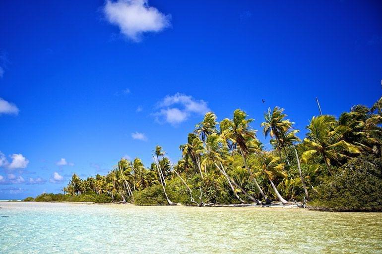 rangiroa ile polynesie