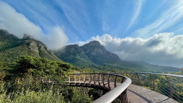 jardin botanique Kirstenbosch afrique du sud