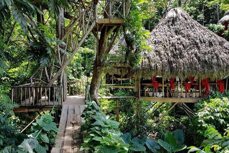 republique dominicaine caraibes cabane nature