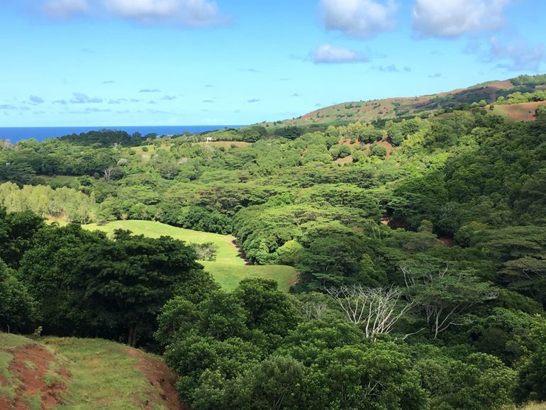 reserve naturelle frederica ile maurice