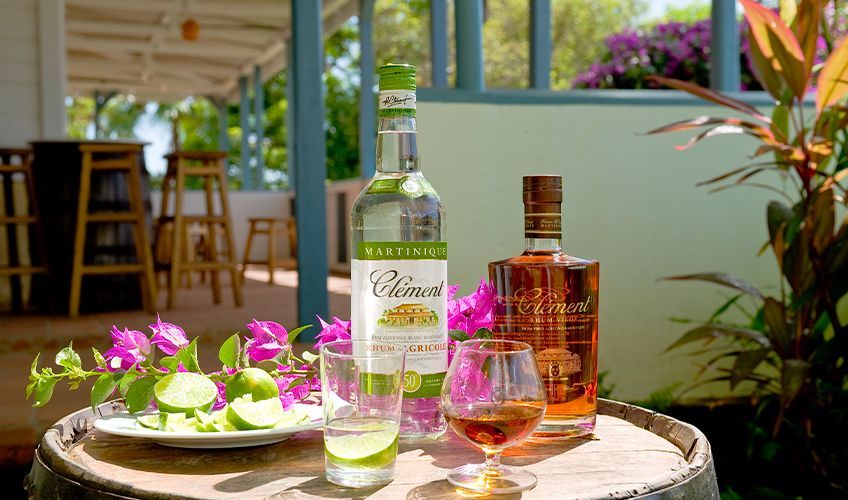 Dégustation de rhum à la distillerie Clément en Martinique