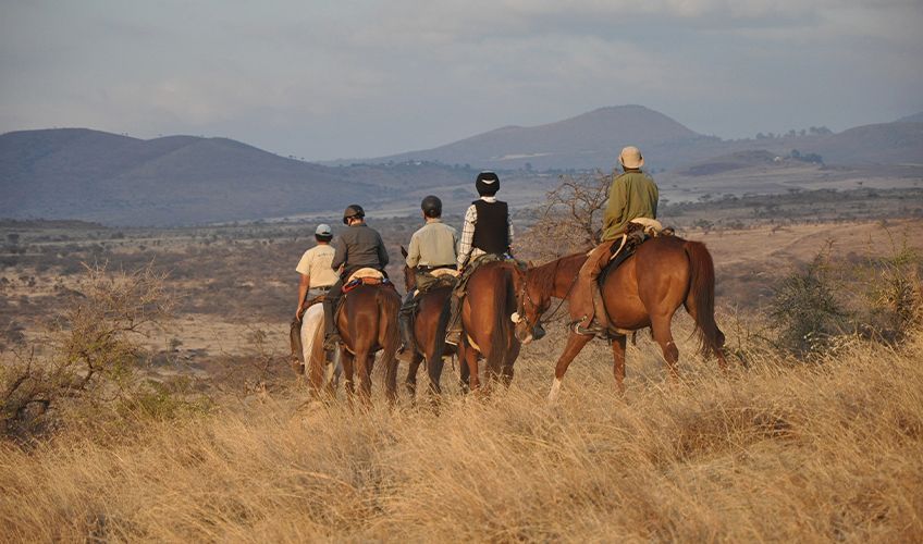 randonne  cheval au Kenya