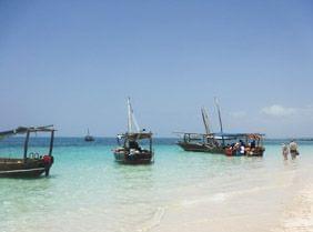 L'incontournable Safari Blue  Zanzibar