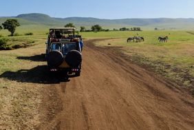Nos circuits éco-responsables en Afrique Australe
