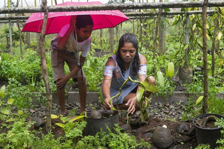 salt of palmar eco friendly