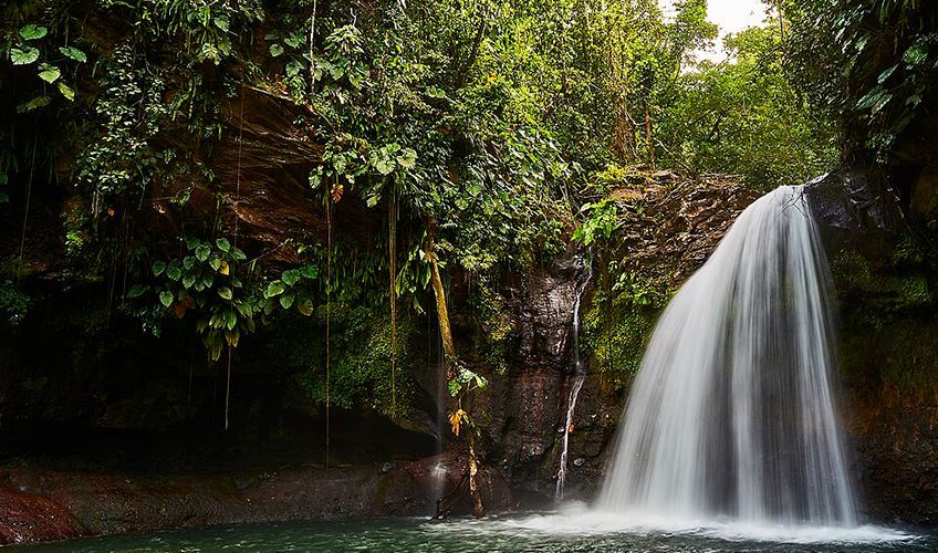 Cascade du Saut de la Lézarde en Guadeloupe