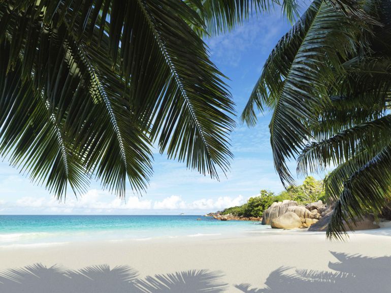 covid seychelles