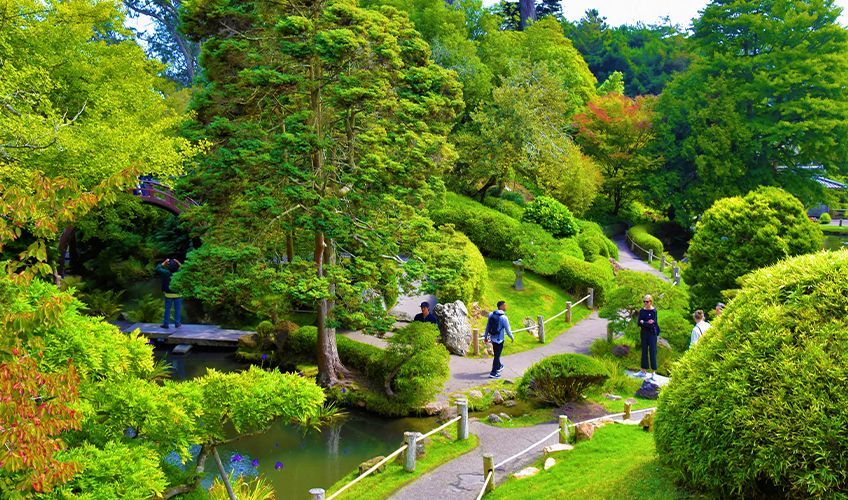 intérieur du Golden Gate Park à San Francisco