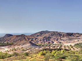 Abu Dhabi : nature & animaux sauvages sur l'île de Sir Bani Yas