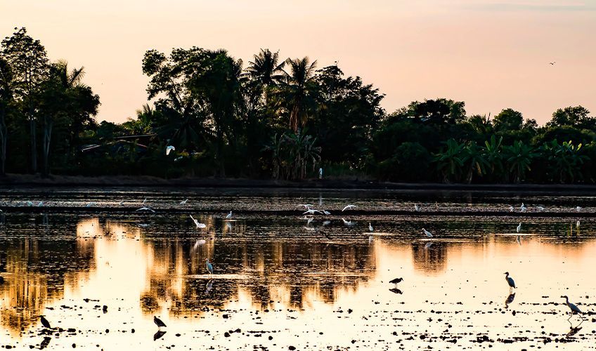 coucher de soleil sur le lac Naivasha au Kenya