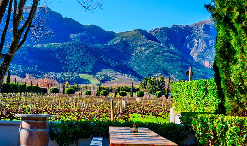 terrasse au milieu des vignes sur la route des vins en Afrique du Sud