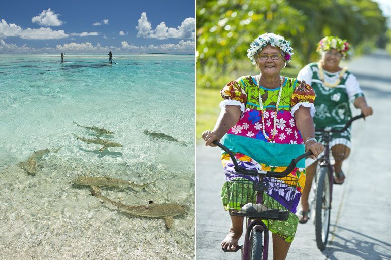 tikehau polynesie