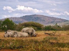 Top 3 des plus beaux sites du Kwazulu Natal