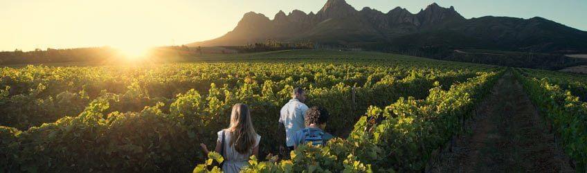 Top 5 des plus belles routes d'Afrique du Sud