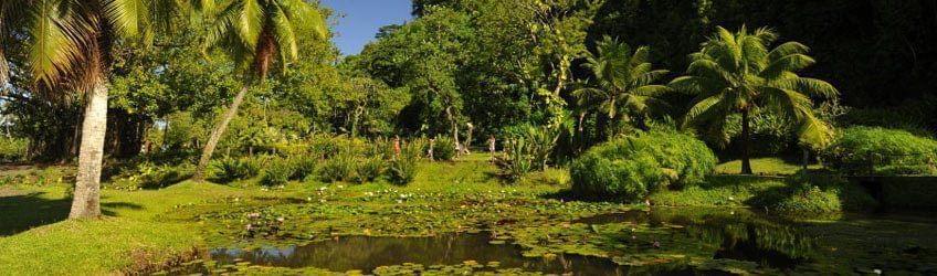 Top 5 des jardins et sentiers botaniques de Polynésie