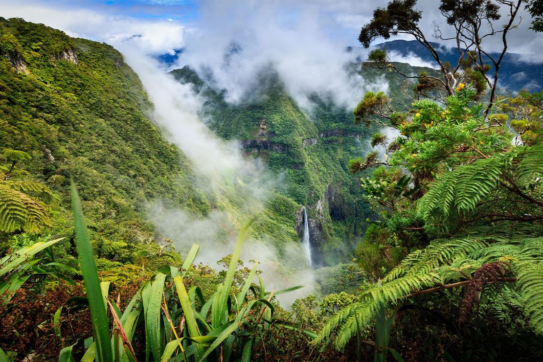 cascades du Trou de Fer à la Réunion