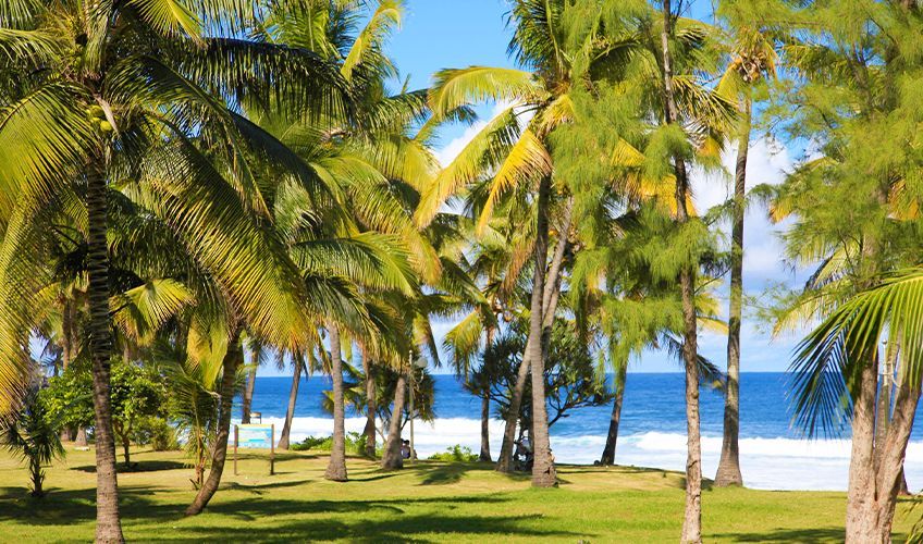 plage de grande anse à la réunion