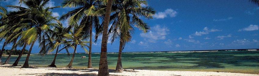 Guadeloupe ou Martinique ?