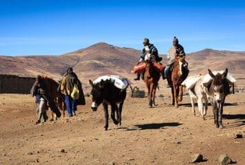 trek cheval lesotho trek cheval lesotho
