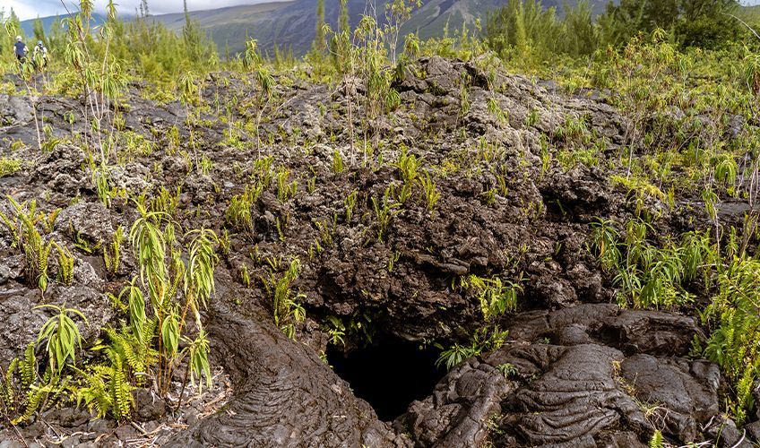 entr�e d'un tunnel de lave � la R�union