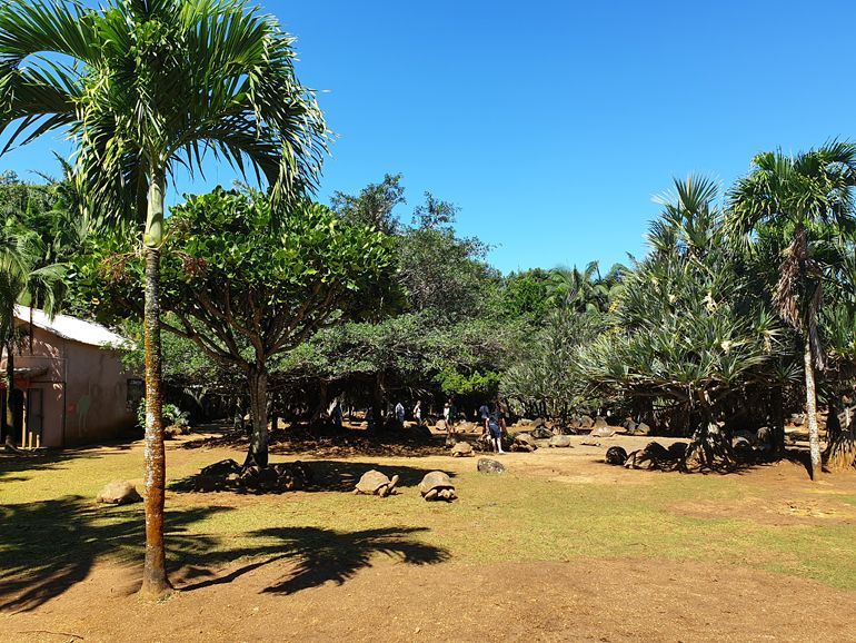 Vanilla park le Maurice