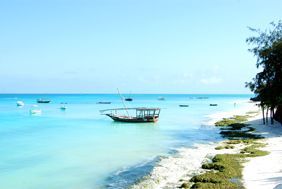 Quelle côte choisir à Zanzibar ?