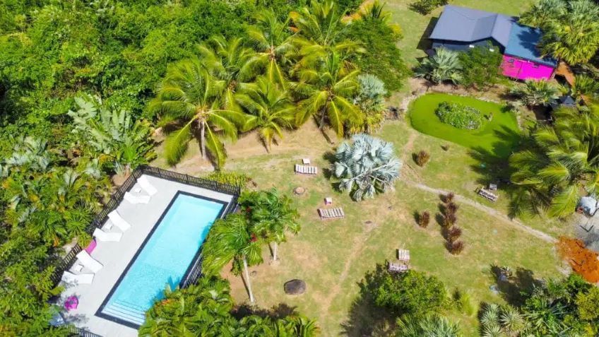 jardin et piscine Domaine de la Palmeraie