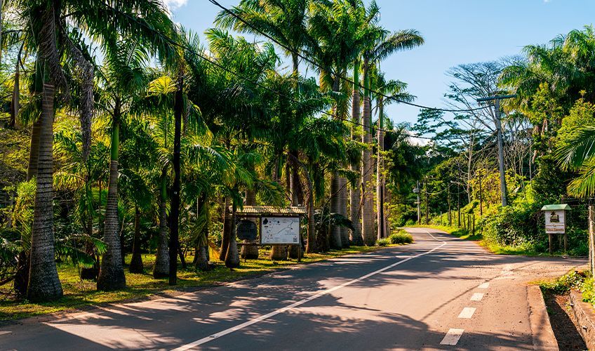 village de Chamarel à l'île Maurice