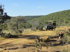 Afrique du Sud / Seychelles : entre mgalopole, savane et eaux turquoise