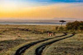 Voyage au Kenya : retour d'expérience de Céline
