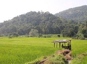 Sri Lanka, une incroyable destination famille !